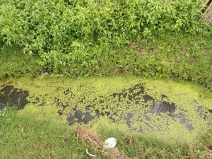 A Stagnant pool of water near a house at Hai Gabat in Juba